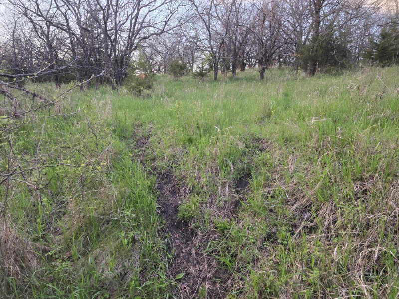 Listing photo 49
